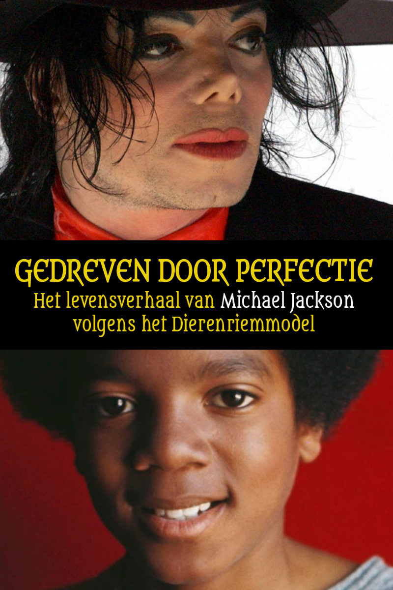 Boek Gedreven door perfectie